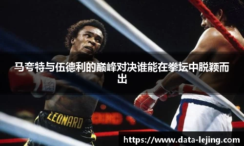 乐竟体育平台